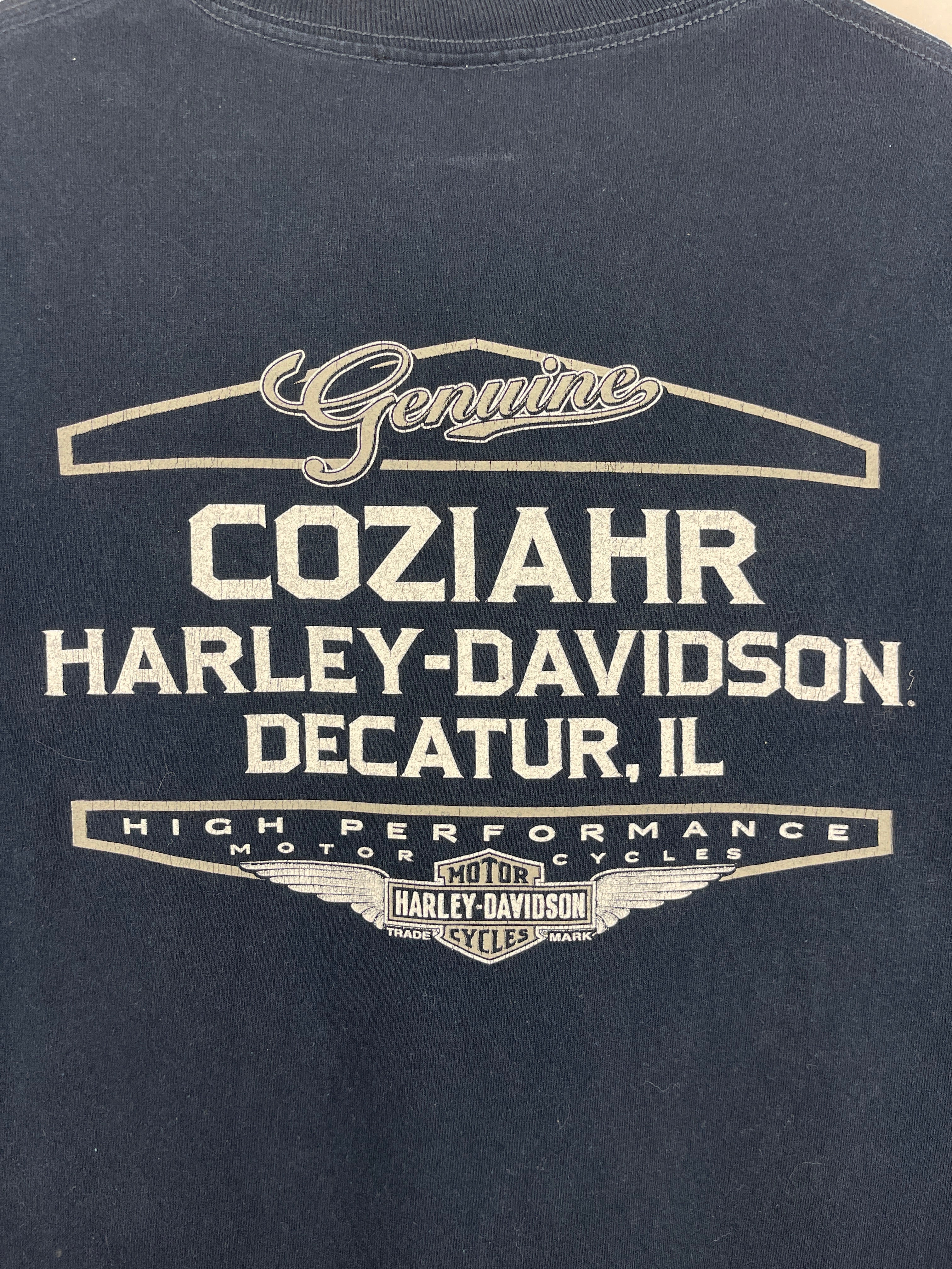 Vintage Harley Davidson Skull Decatur Illinois Navy Tee