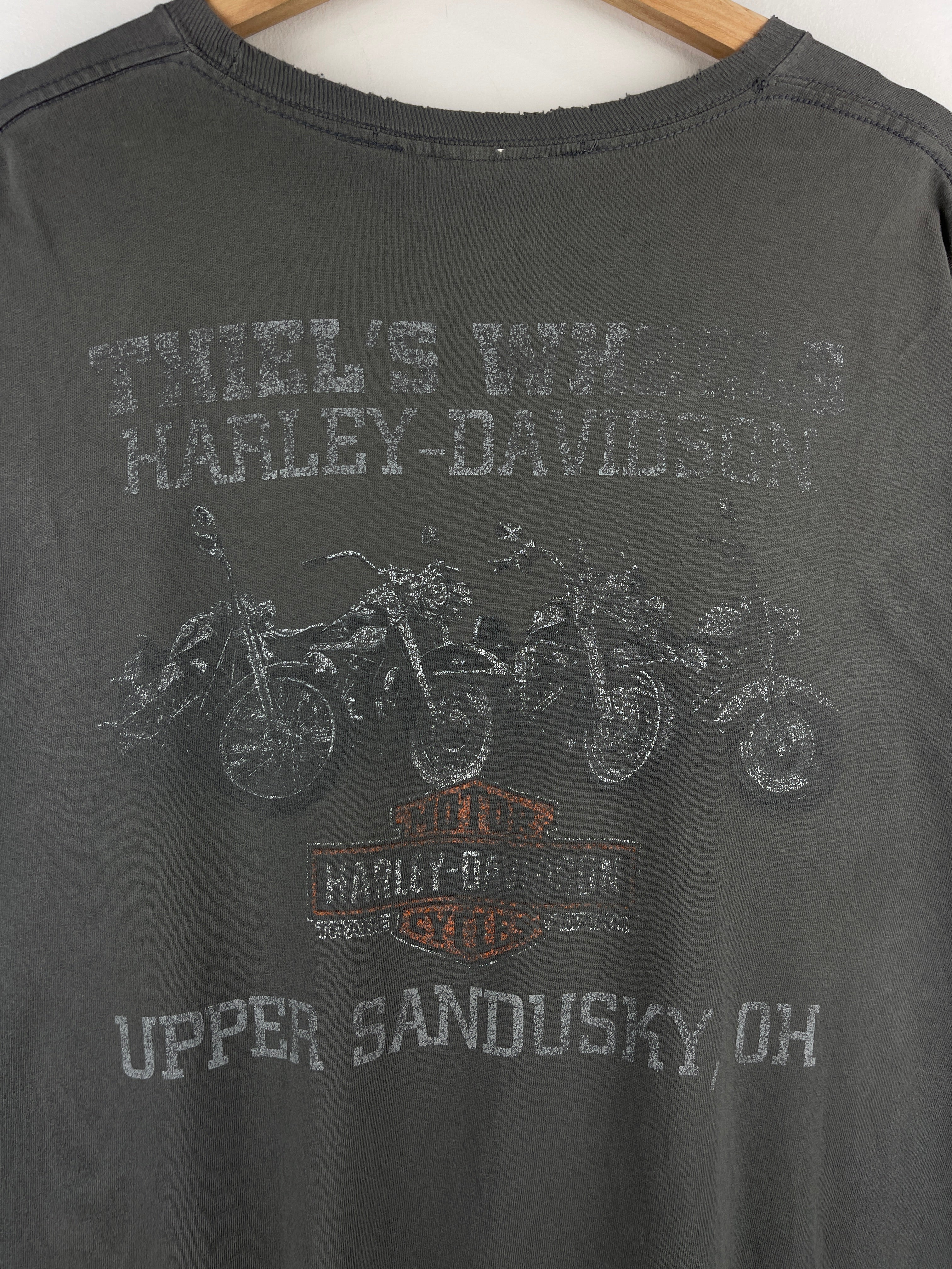Vintage Harley Davidson Skull Upper Sandusky Ohio Grey Tee