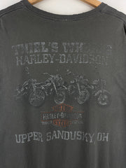 Vintage Harley Davidson Skull Upper Sandusky Ohio Grey Tee