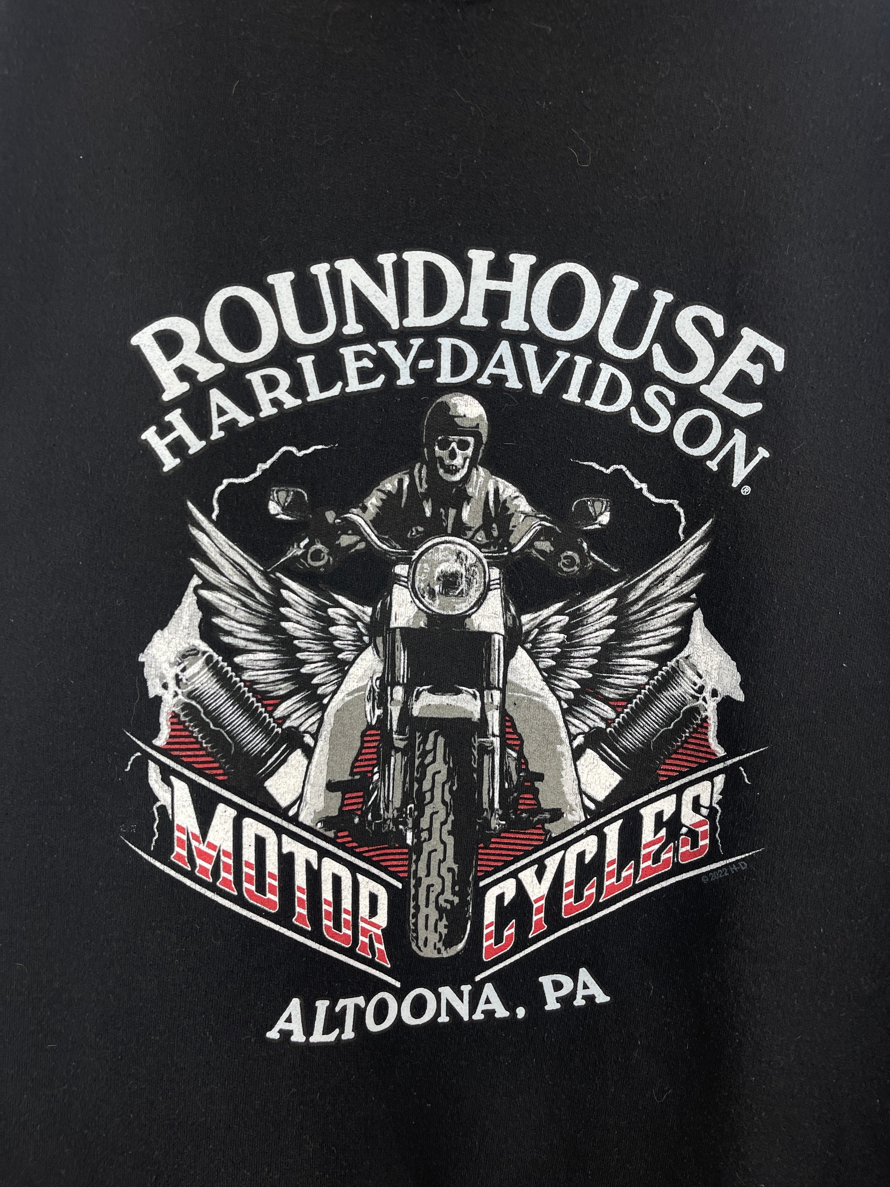Vintage Harley Davidson Pennsylvania Black Hoodie