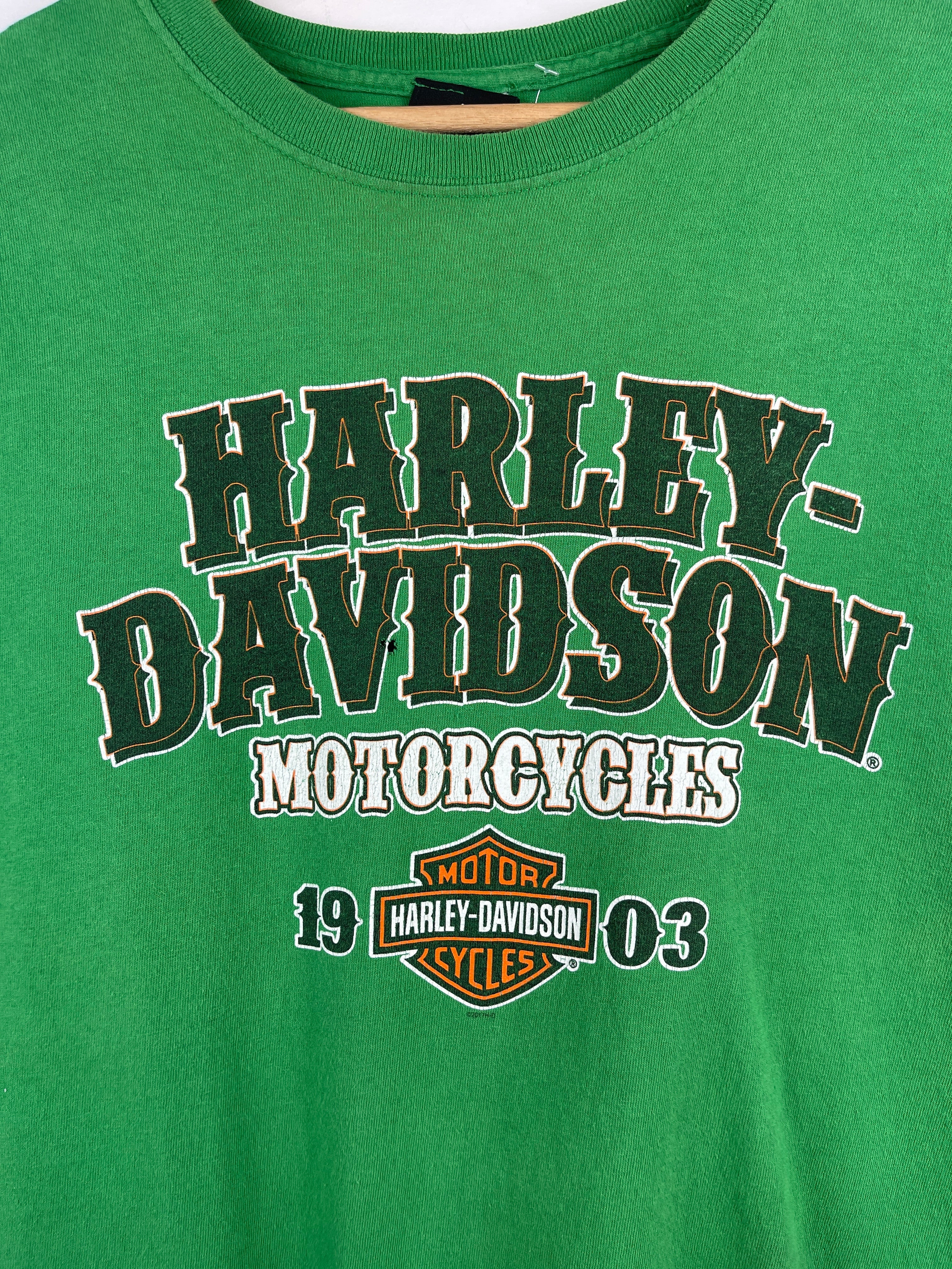 Vintage Harley Davidson Skull Illinois Green Tee