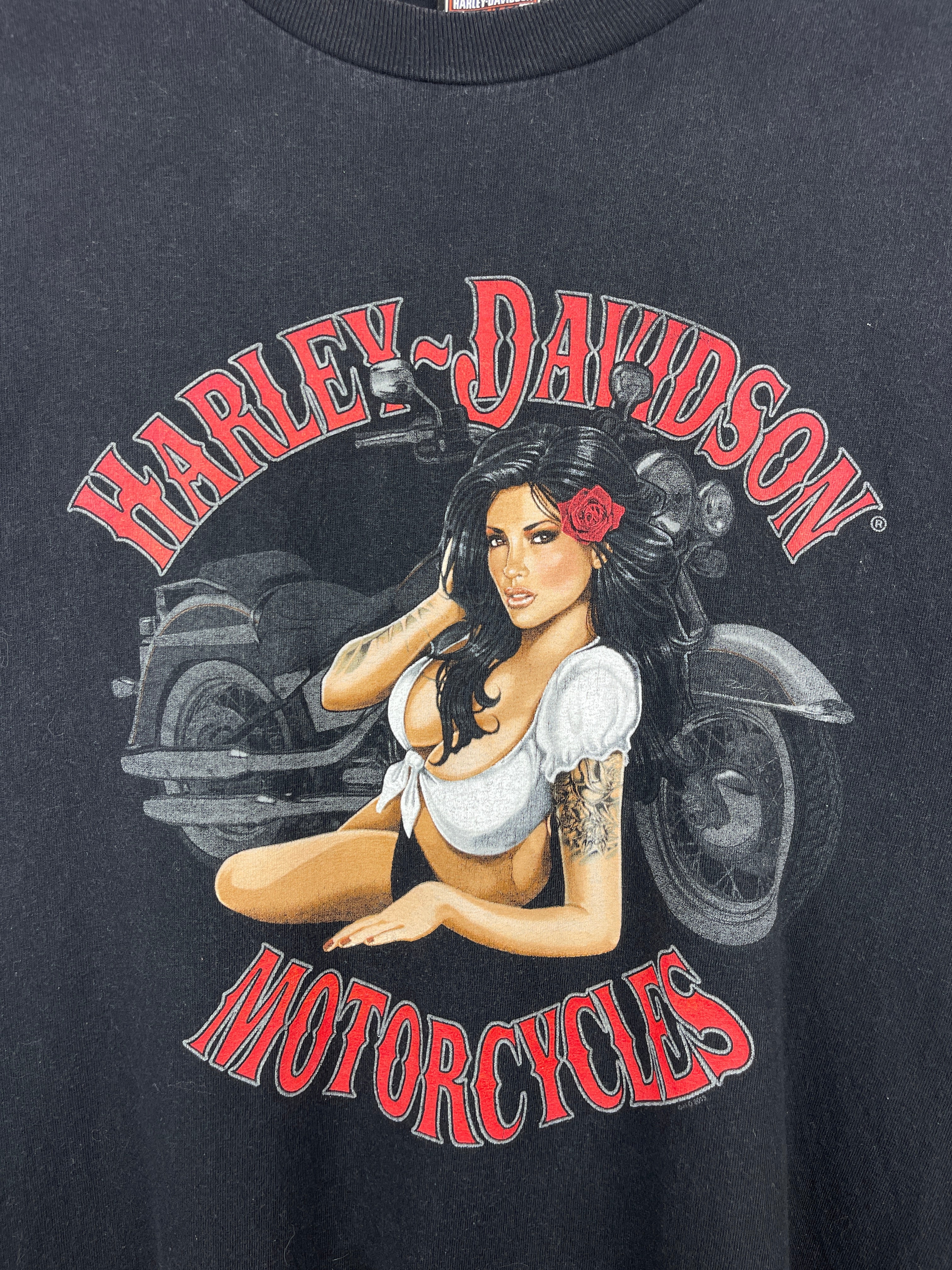 Vintage Harley Davidson Pin Up Girl Pennsylvania Black Tee