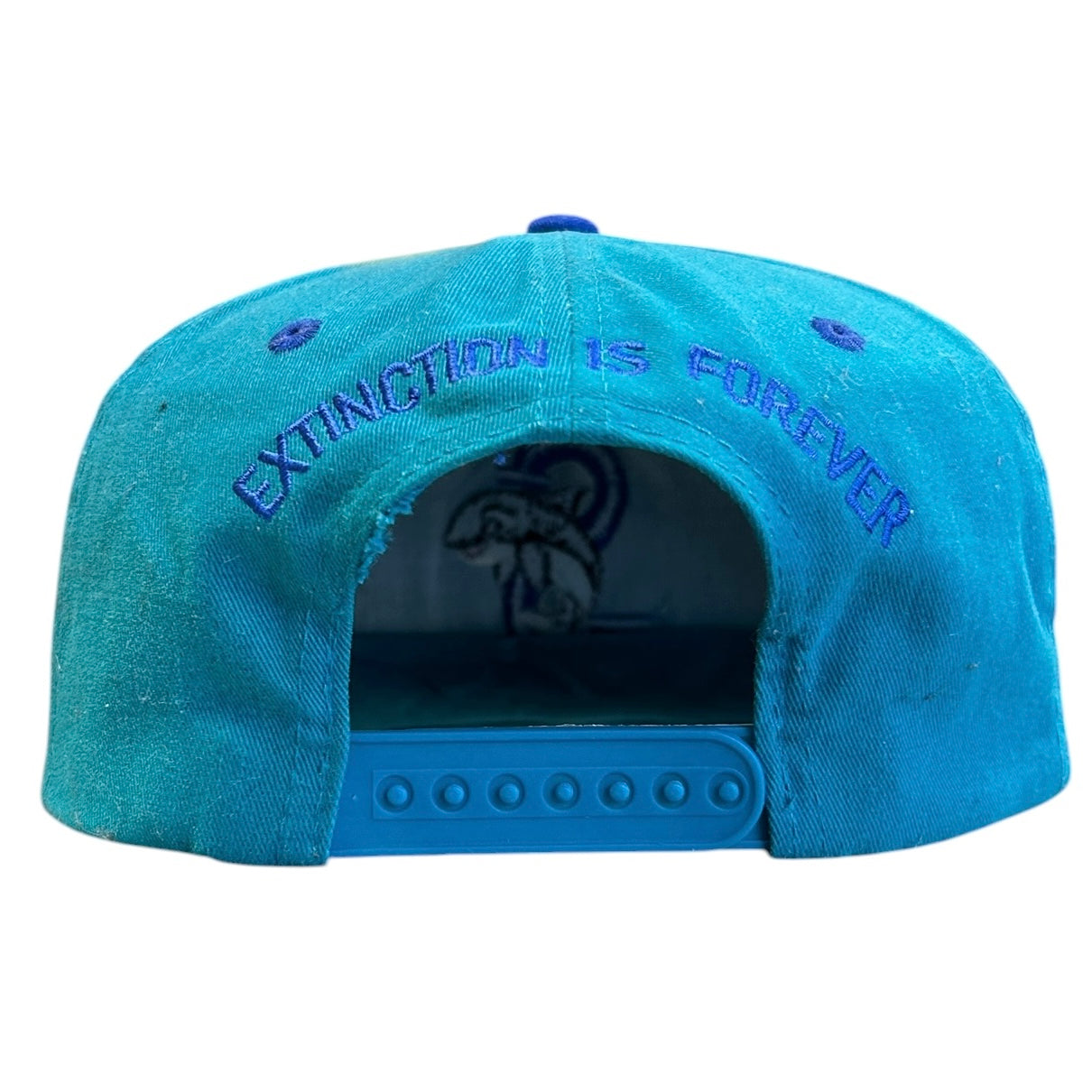 Vintage 90s Seaworld Shamu Whale Teal Snapback Hat