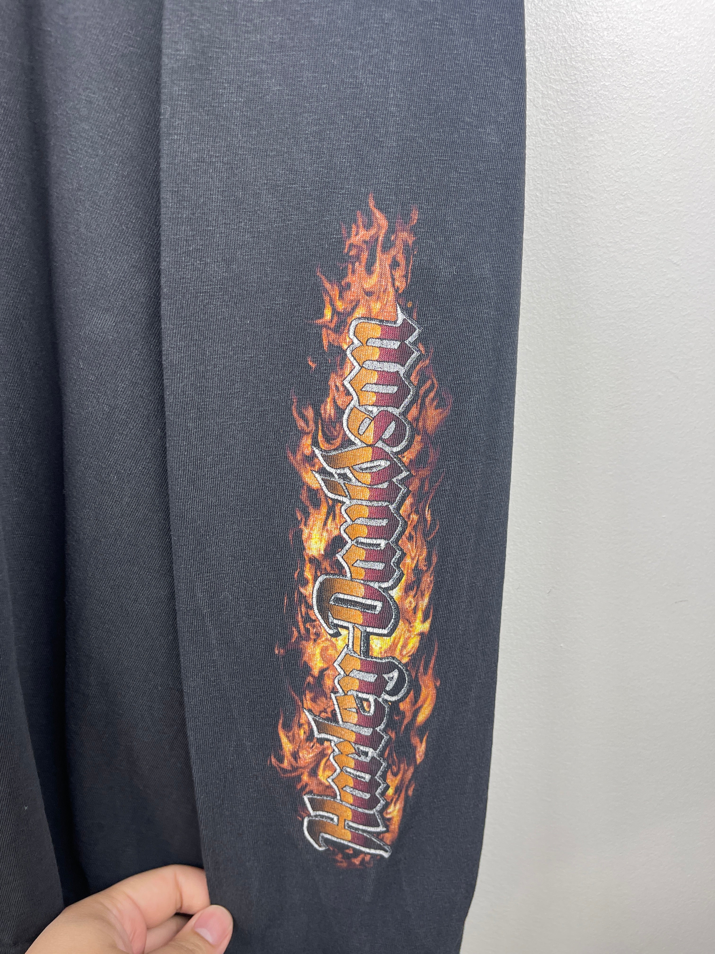 Vintage Harley Davidson Flame Ball Wisconsin Black Long Sleeve