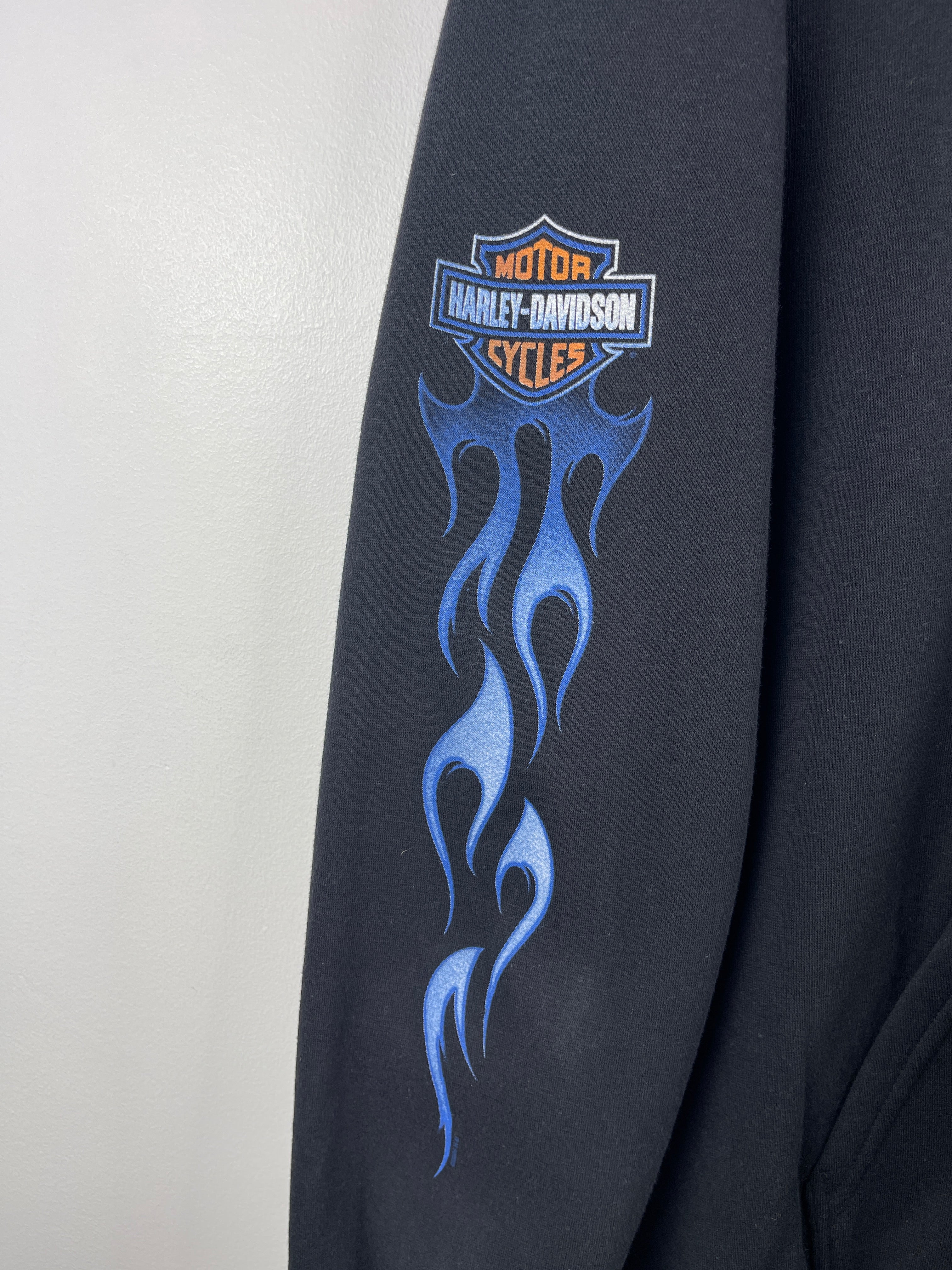 Vintage Harley Davidson Blue Flames Eagle Black Zip Up Hoodie