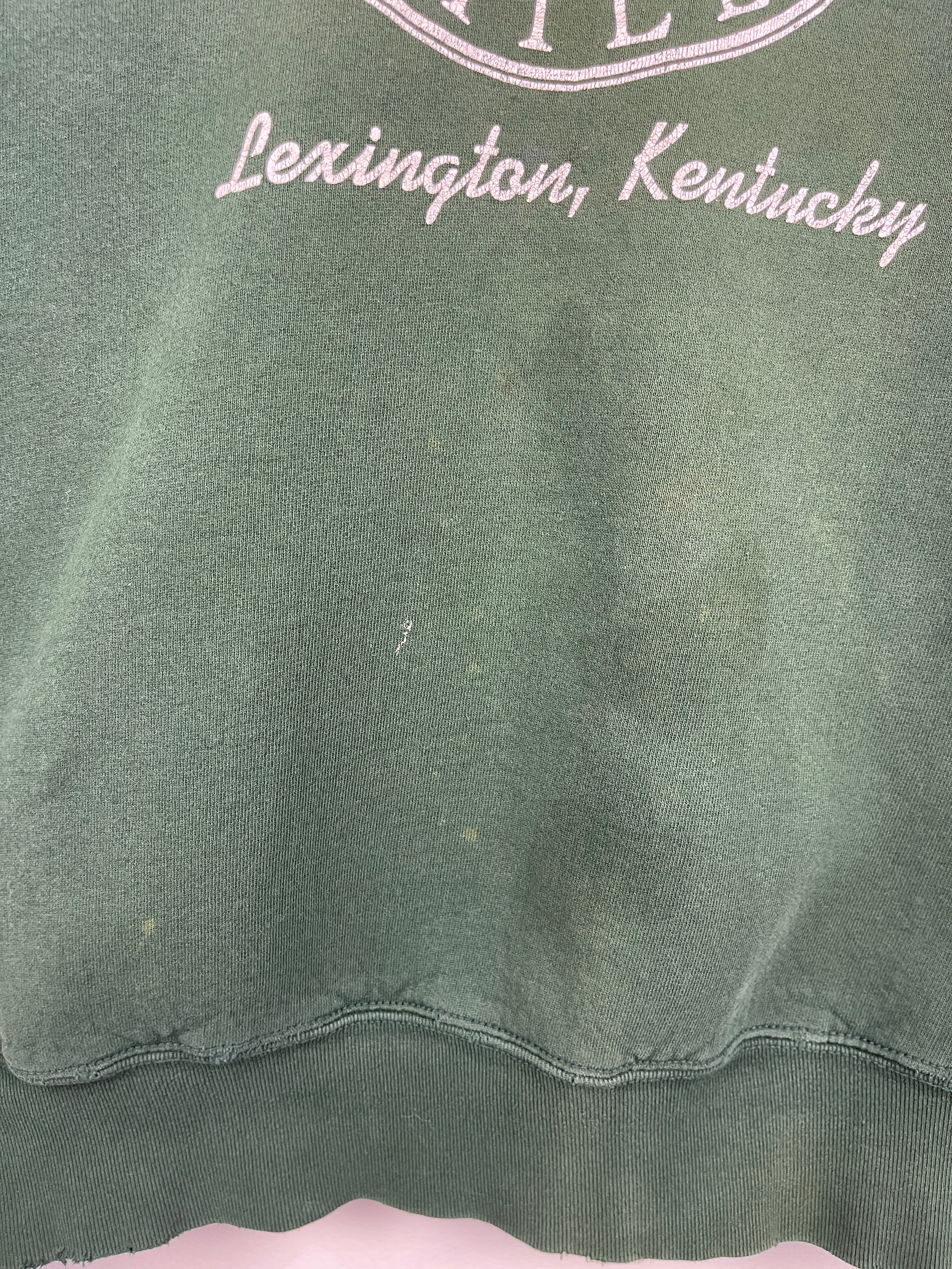 Vintage 90s The Red Mile Horse Riding Kentucky Thrashed Green Crewneck