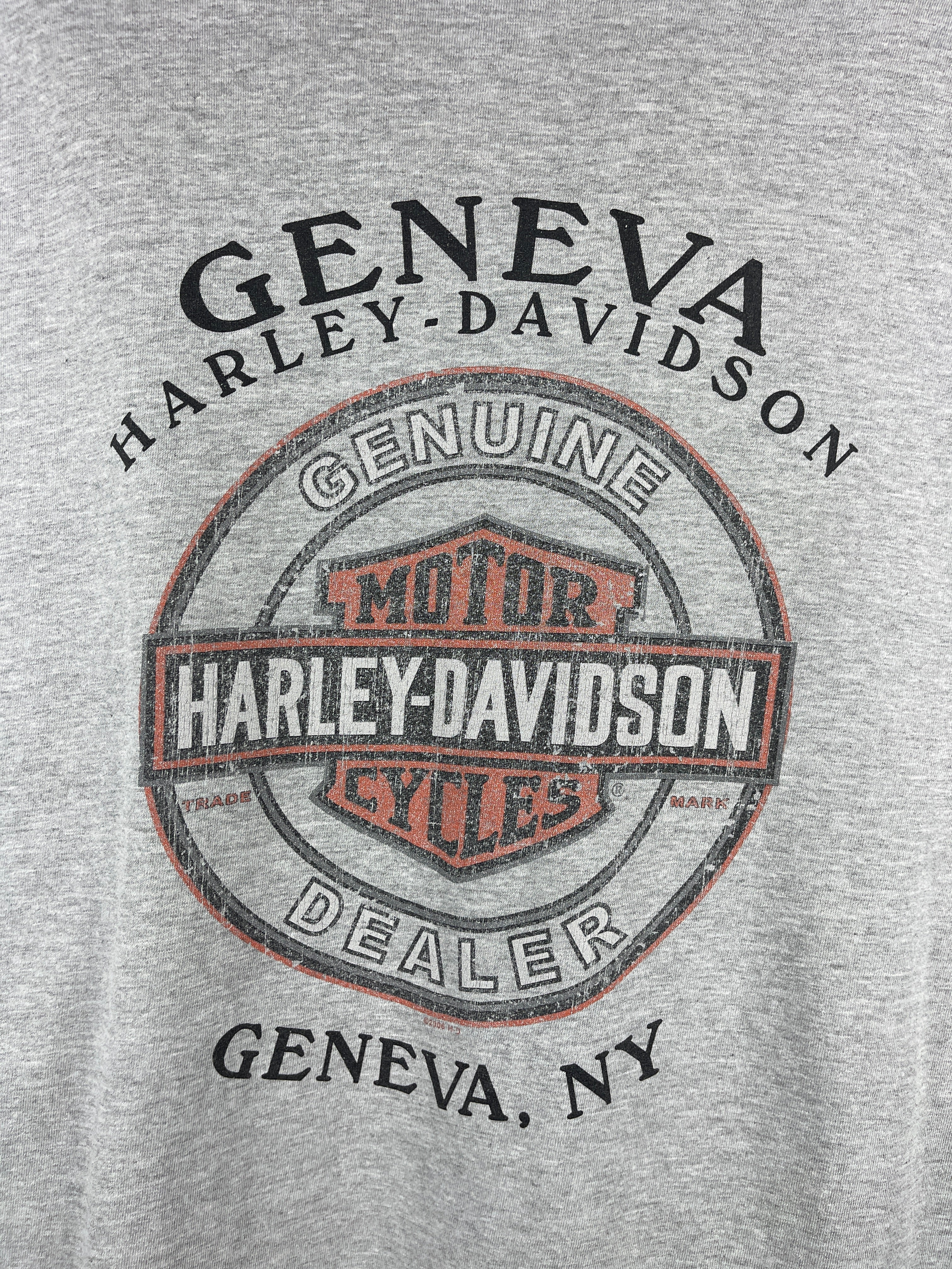 Vintage Harley Davidson Flames Geneva New York Grey Long Sleeve