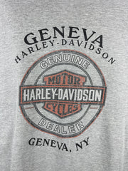 Vintage Harley Davidson Flames Geneva New York Grey Long Sleeve