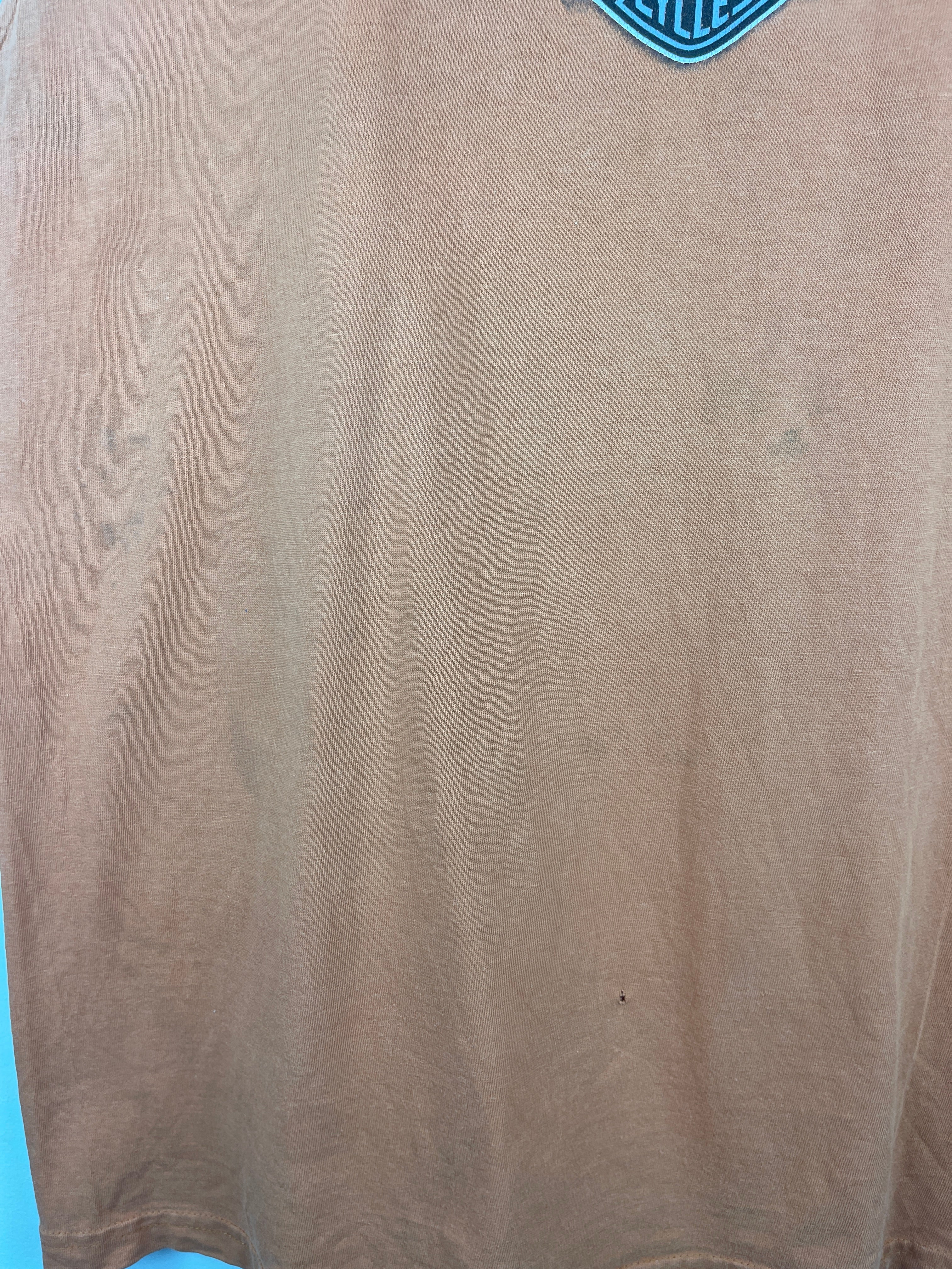 Vintage Harley Davidson Eagle Pennsylvania Orange Tank Top