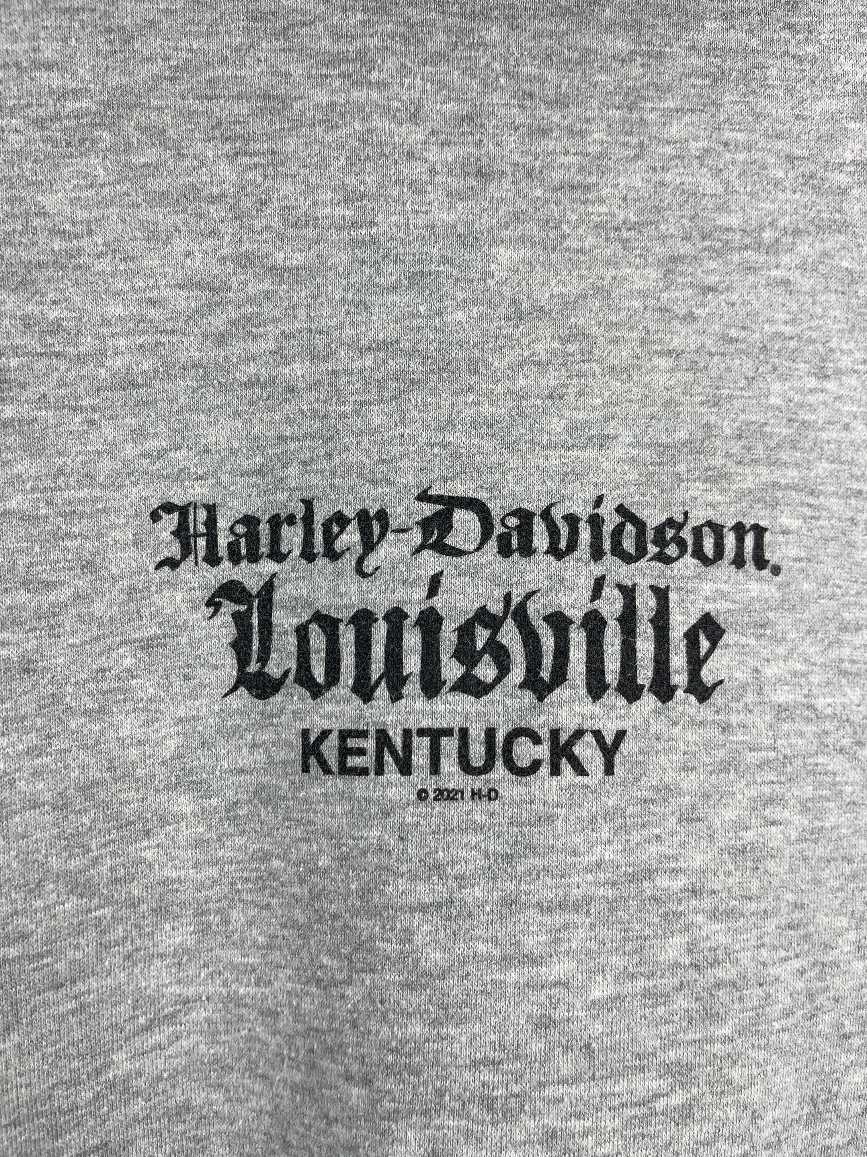 Vintage Harley Davidson Kentucky Grey Zip Up Hoodie
