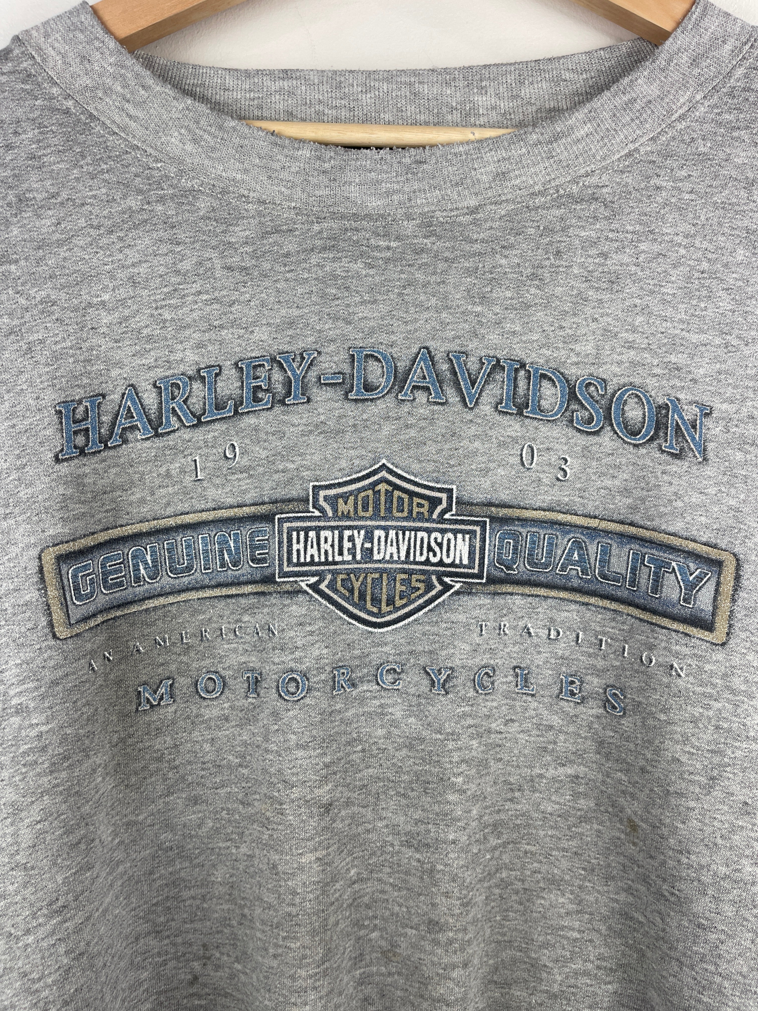 Vintage Harley Davidson Eagle Appleton Wisconsin Grey Crewneck