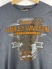 Vintage Harley Davidson Eagle Peoria Illinois Grey Long Sleeve