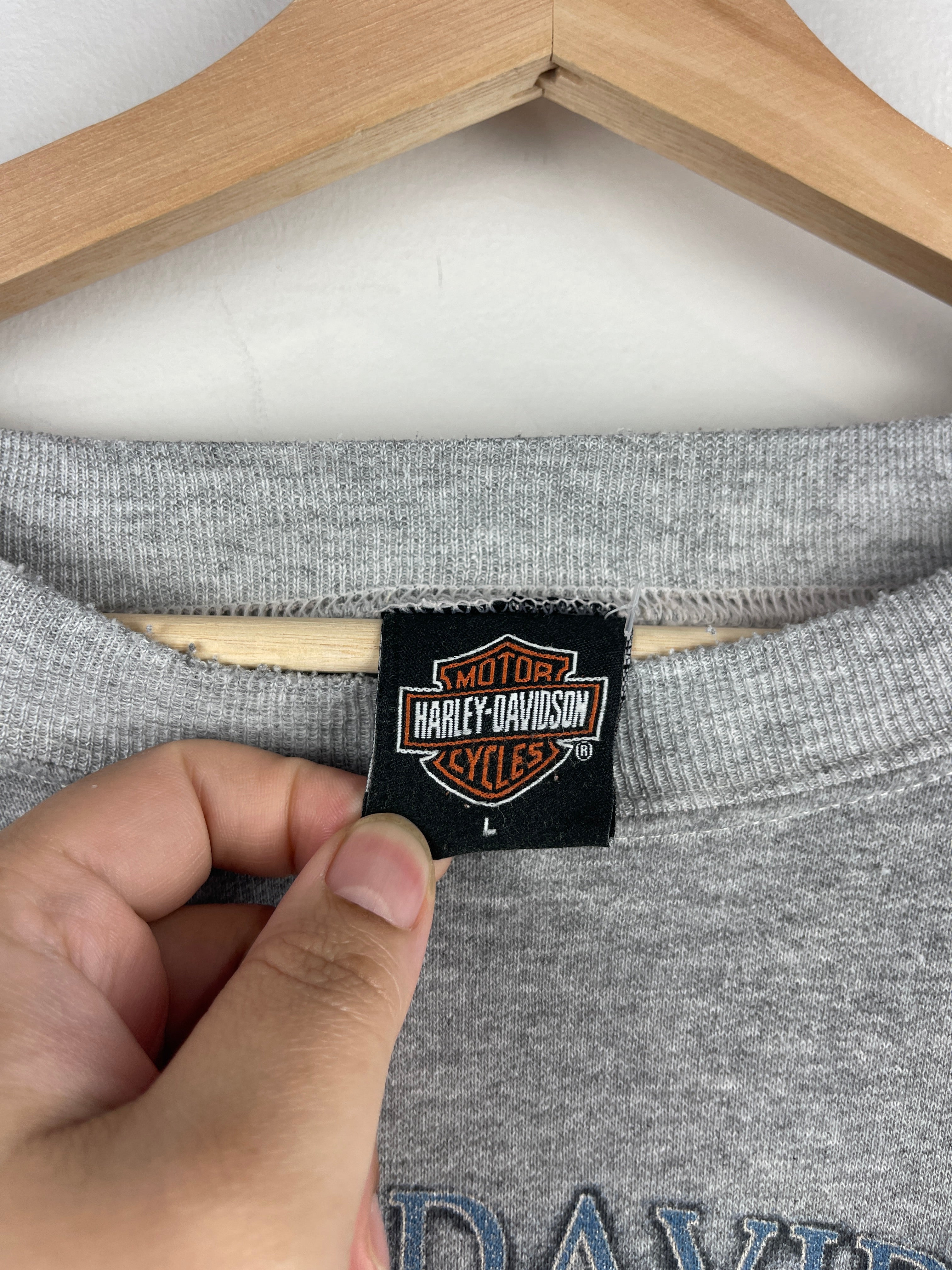 Vintage Harley Davidson Eagle Appleton Wisconsin Grey Crewneck
