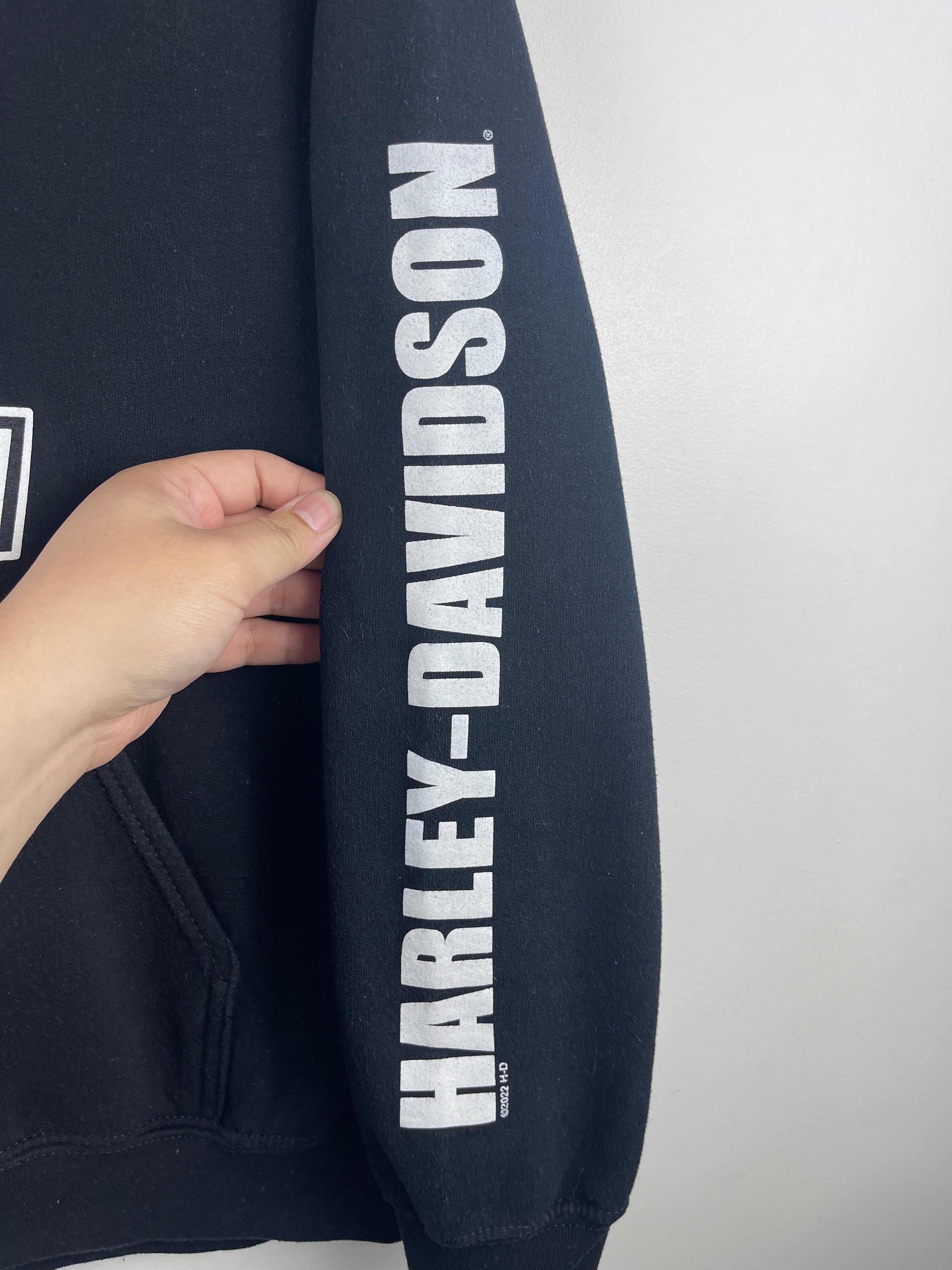 Vintage Harley Davidson Pennsylvania Black Hoodie