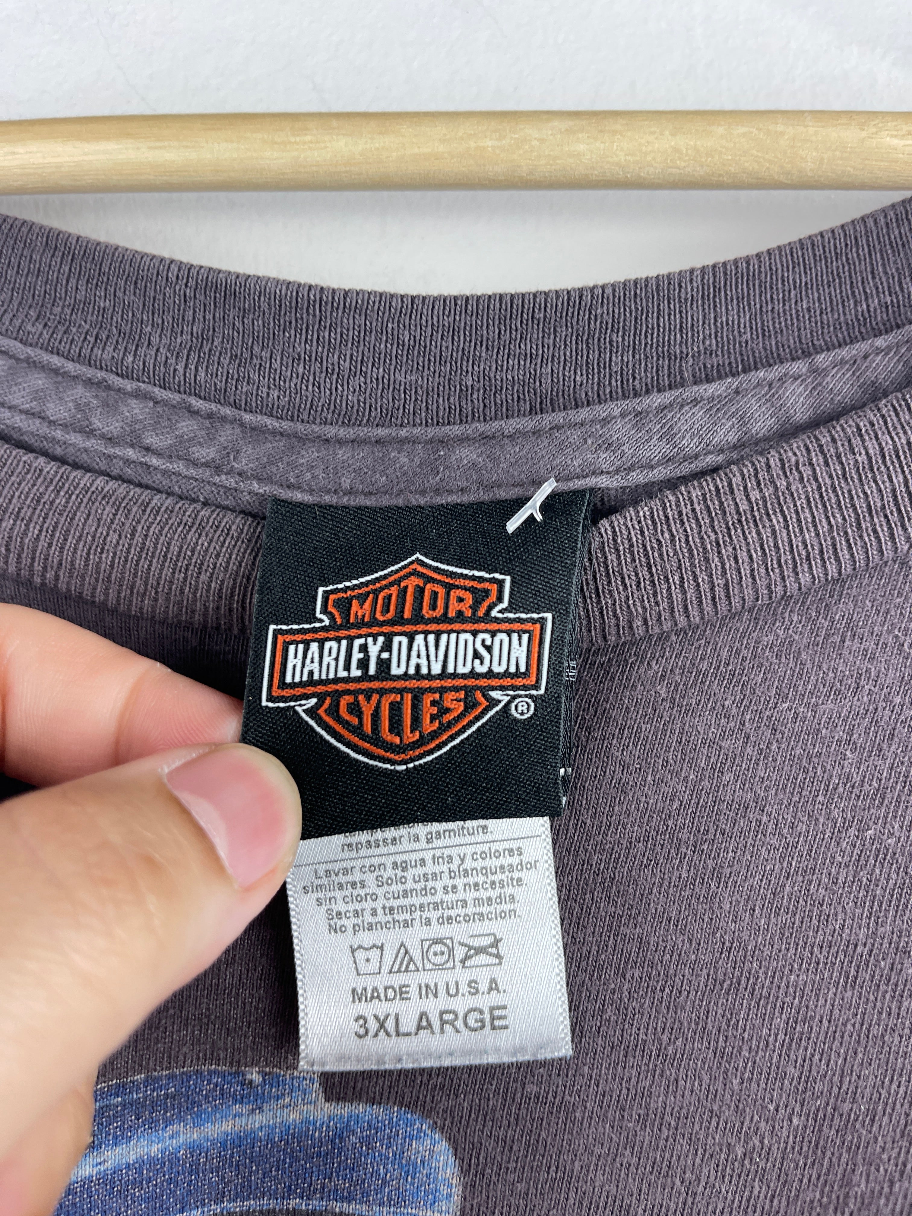 Vintage Harley Davidson Motorcycle Wisconsin Dark Grey Tee