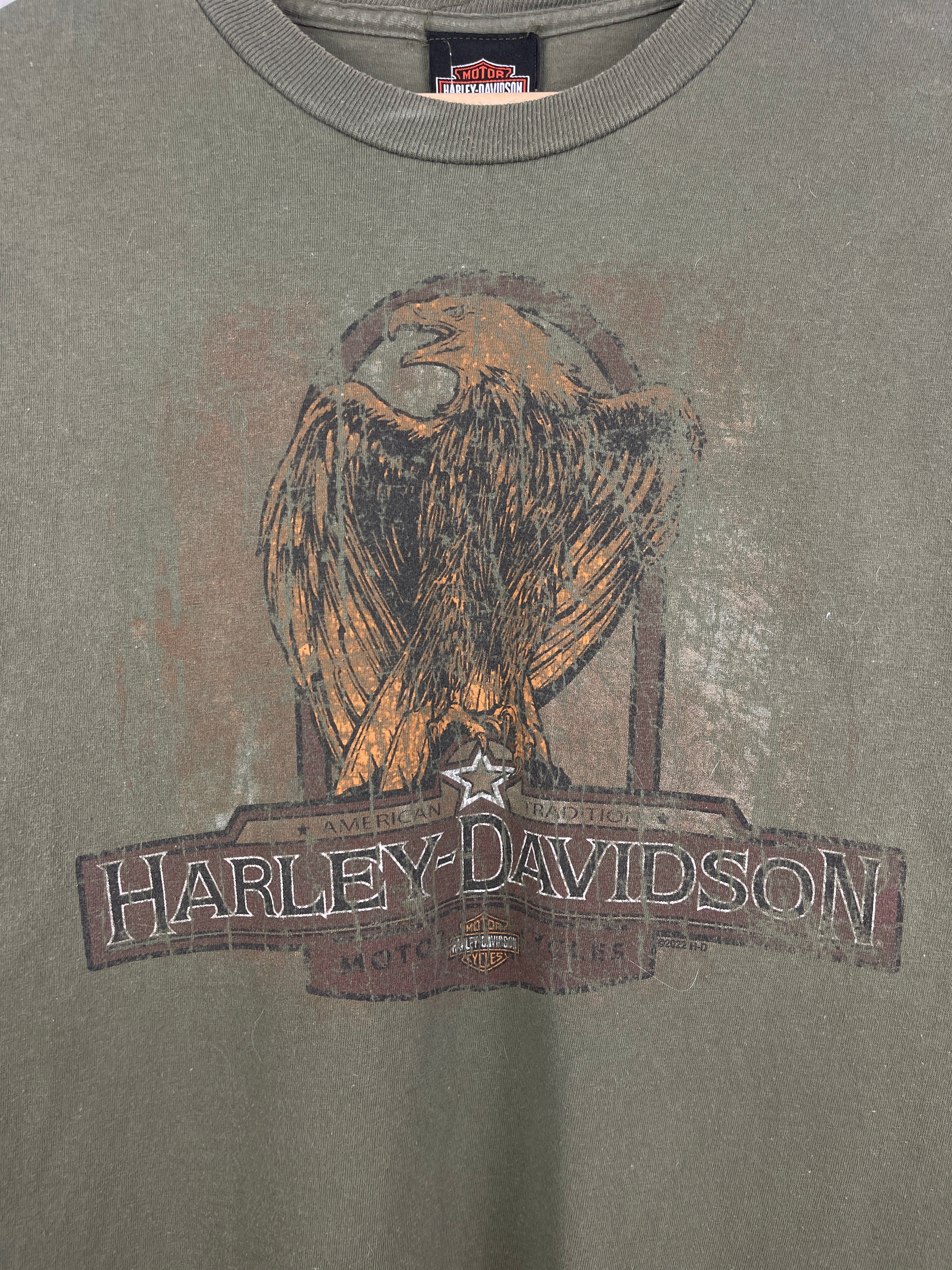 Vintage Harley Davidson Bald Eagle Marquette Michigan Green Tee