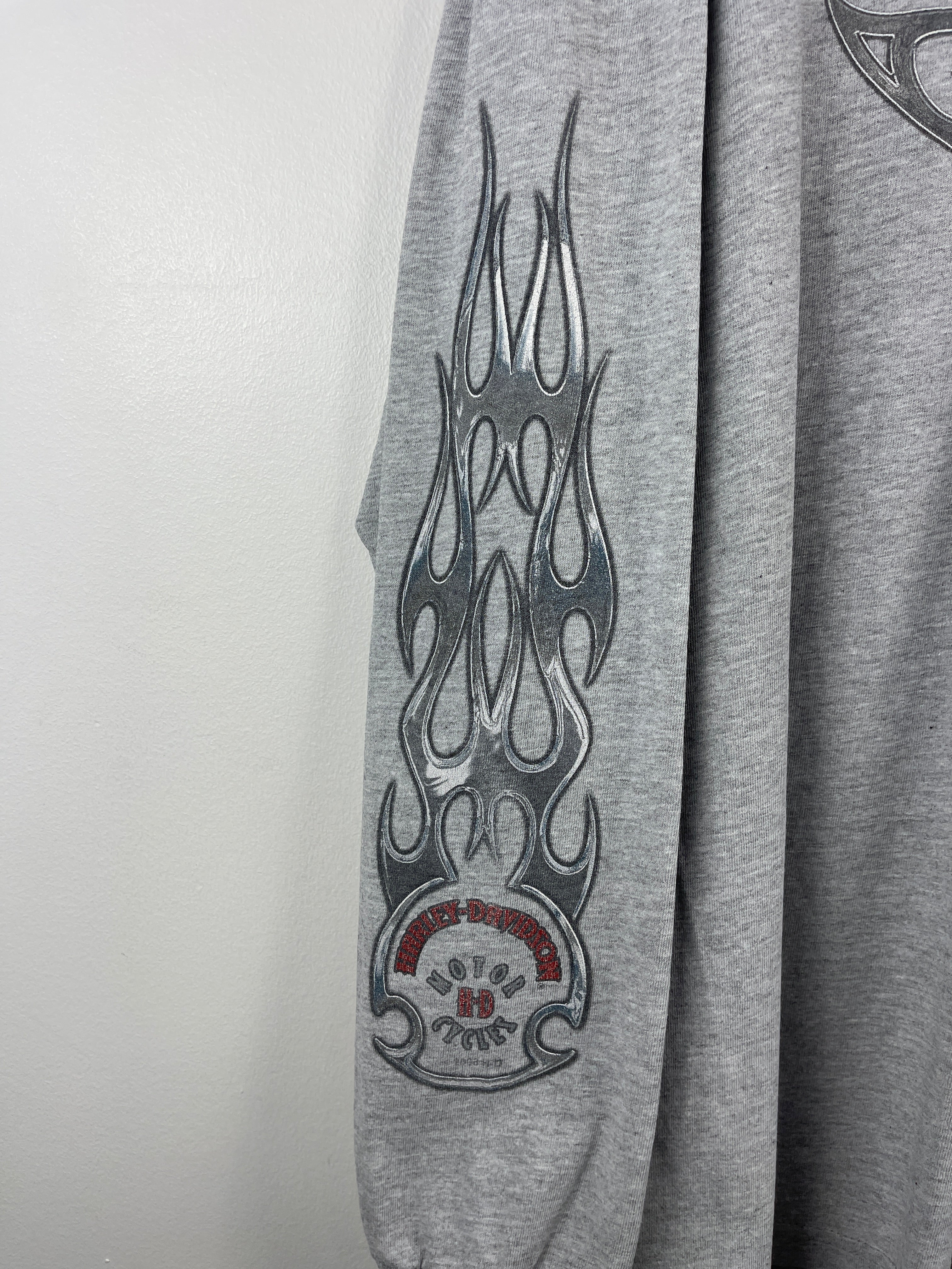 Vintage Harley Davidson Flames Geneva New York Grey Long Sleeve