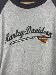 Vintage Harley Davidson Fond Du Lac Wisconsin Embroidered Grey Tee