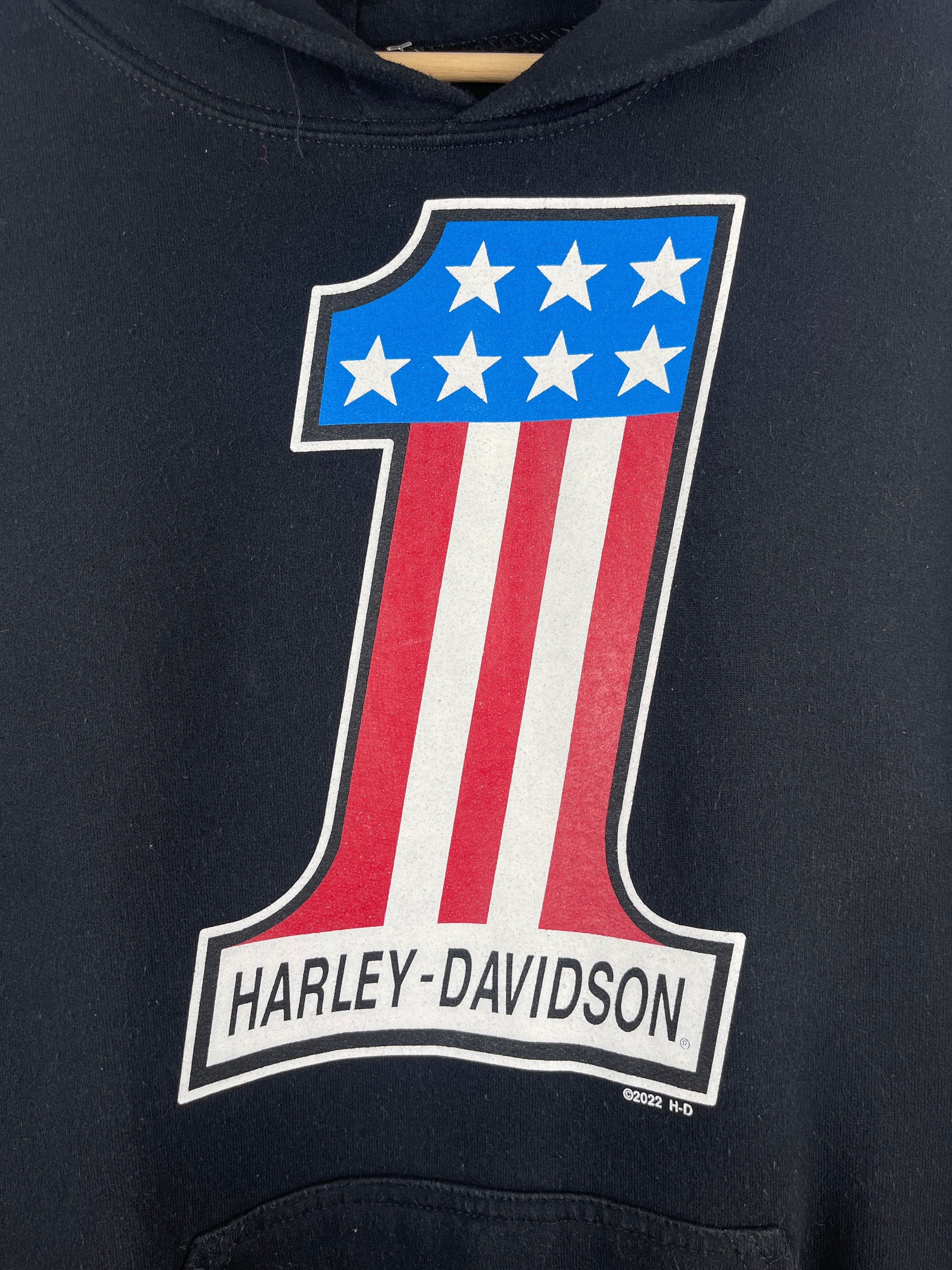 Vintage Harley Davidson Pennsylvania Black Hoodie