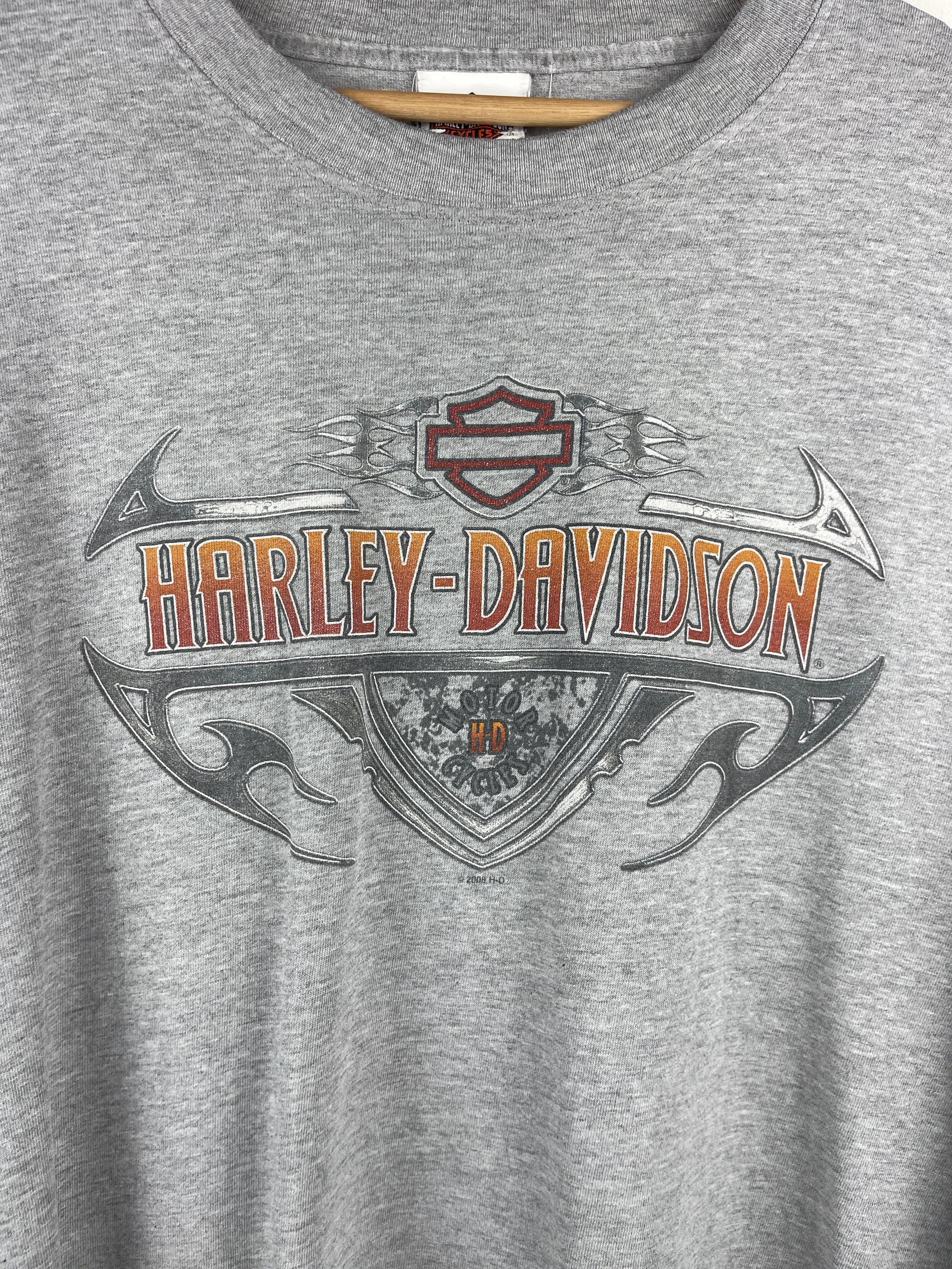 Vintage Harley Davidson Flames Geneva New York Grey Long Sleeve
