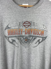 Vintage Harley Davidson Flames Geneva New York Grey Long Sleeve