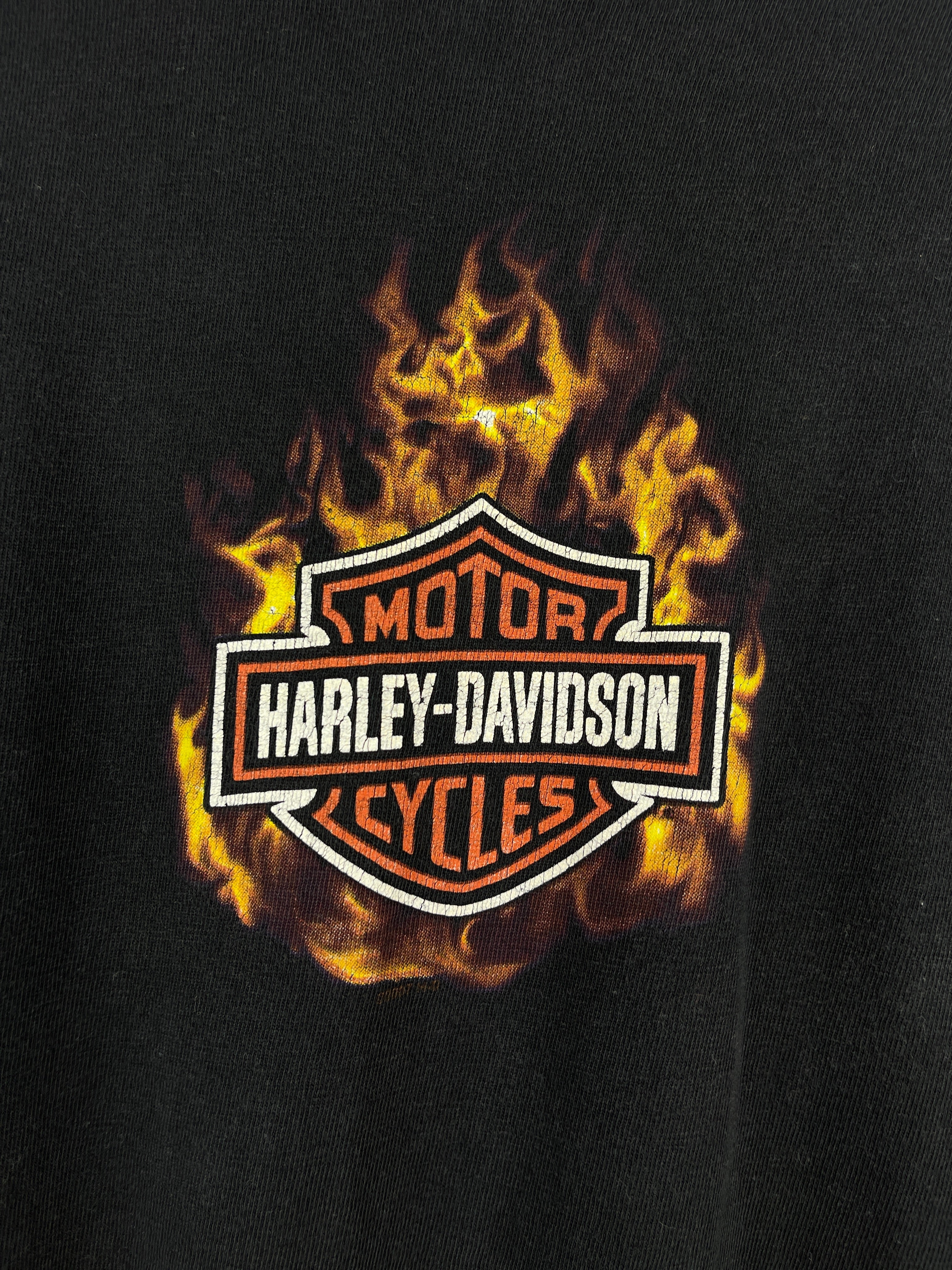 Vintage Harley Davidson Flame Ball Wisconsin Black Long Sleeve