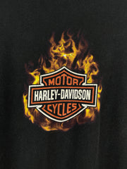 Vintage Harley Davidson Flame Ball Wisconsin Black Long Sleeve