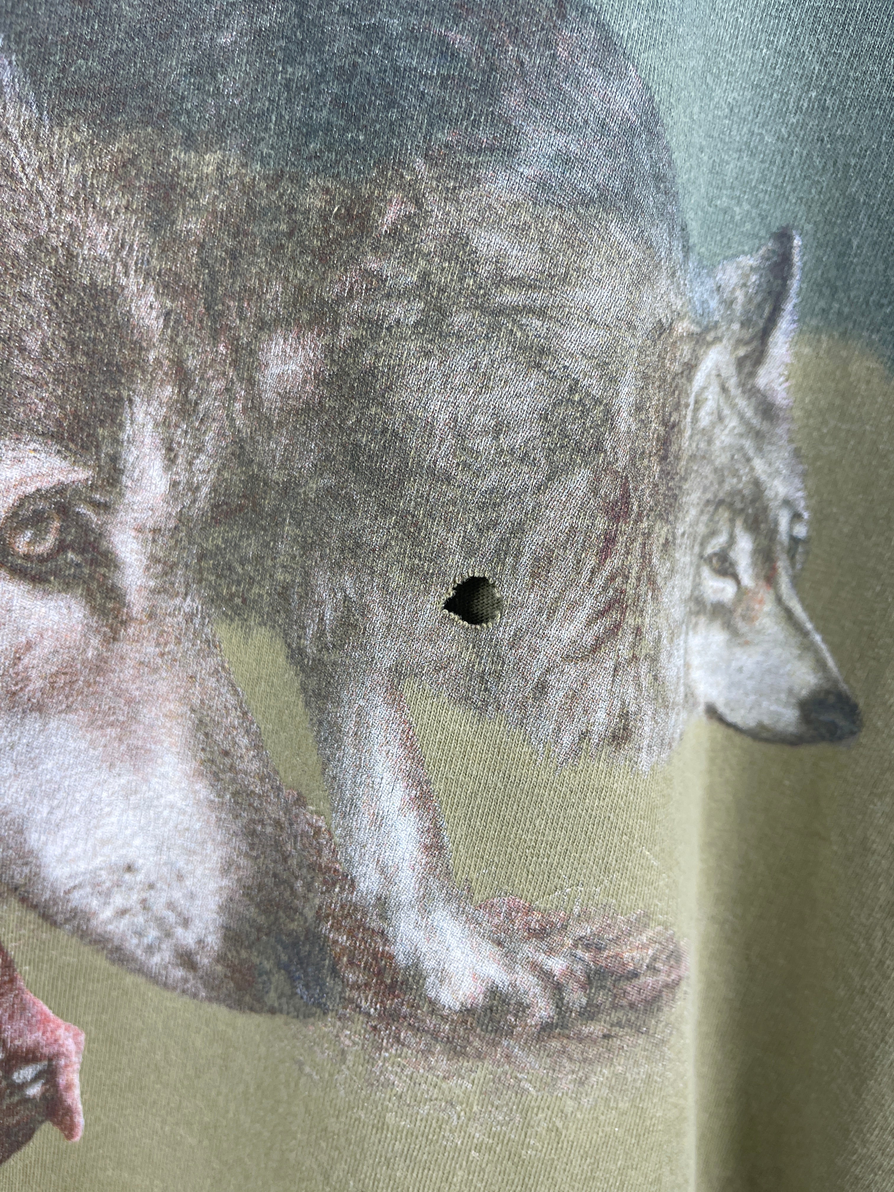 Vintage 90s Wolf Wilderness Gradient Green Faded Tee