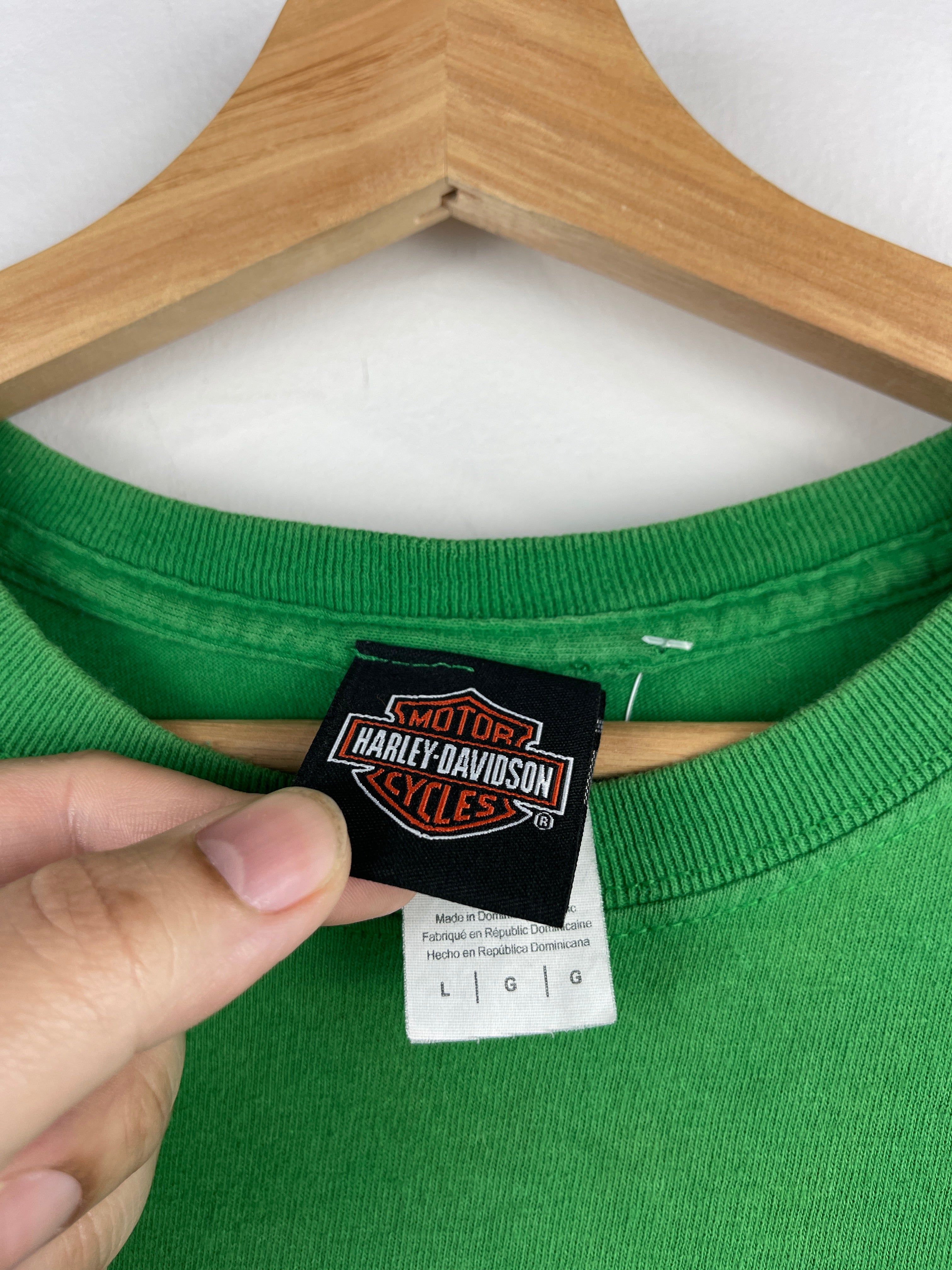 Vintage Harley Davidson Skull Illinois Green Tee